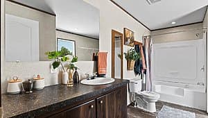 The sparkle lot #3  bathroom home features