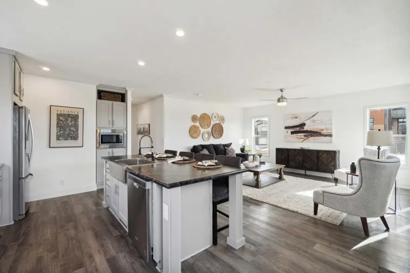 Orion interior home features