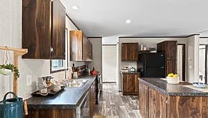 The sparkle lot #3  kitchen home features