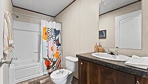 The sparkle lot #3  bathroom home features
